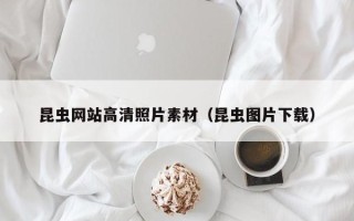 漳州昆虫网站高清照片素材（昆虫图片下载）